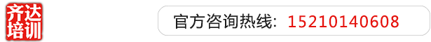 日操屄导航齐达艺考文化课-艺术生文化课,艺术类文化课,艺考生文化课logo